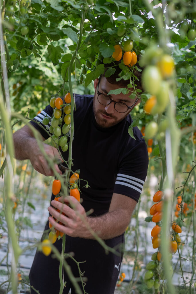 Tamaté_fotoAndreaScarfò_ID2108